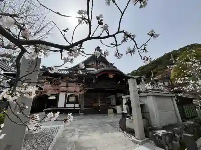 桜寿院(兵庫県)