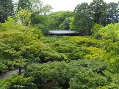 東福禅寺(東福寺)(京都府)