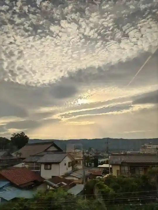 【公式】龍門院常楽寺(秩父札所十一番)の景色