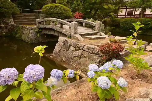 矢田寺(奈良県)