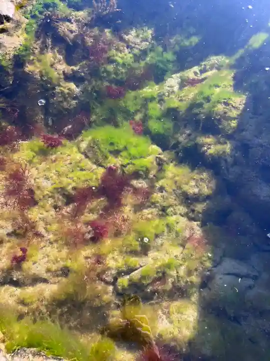 洲崎神社(千葉県)
