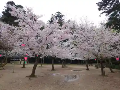 厳島神社(広島県)