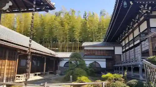 妙蓮寺の庭園