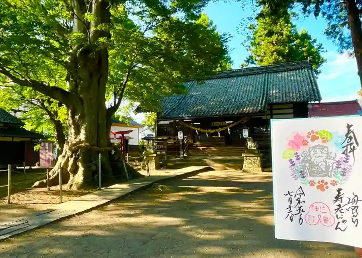 白鳥神社(長野県)