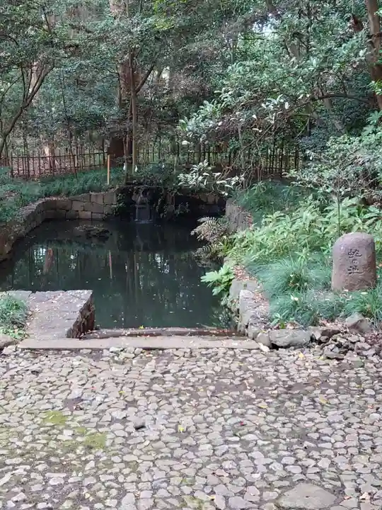 武蔵一宮氷川神社(埼玉県)