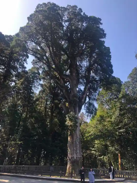 霧島神宮(鹿児島県)