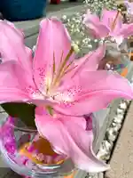 伊達神社の手水舎