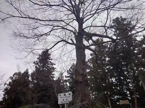 石都々古和気神社の自然