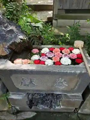 本郷氷川神社(東京都)