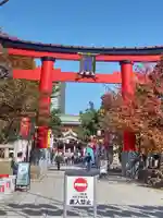 富岡八幡宮の鳥居