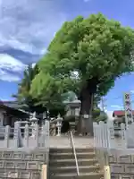 岩野八幡社のその他建物