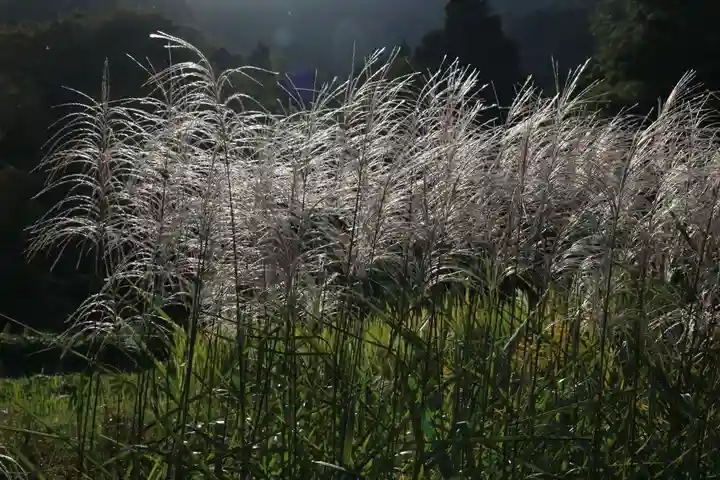 高司神社〜むすびの神の鎮まる社〜の周辺
