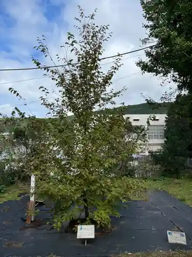 橘神社(長崎県)