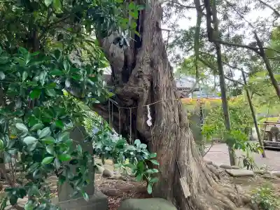金蓮院(東京都)