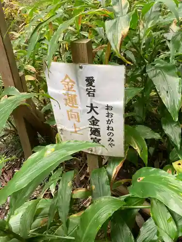 愛宕神社(栃木県)
