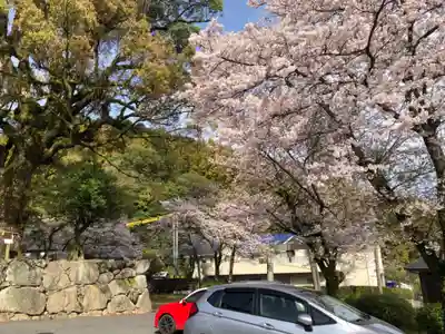 荒穂神社の自然