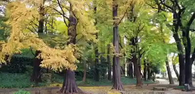 増上寺塔頭 三縁山 宝珠院の周辺