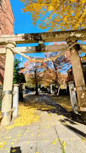 八雲神社 (通五丁目)の鳥居