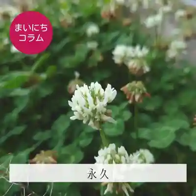 壽徳寺 じゅとくじ(福島県)