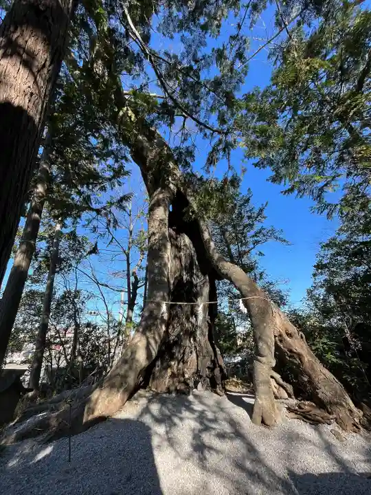 上野総社神社(群馬県)