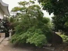 鳥出神社(三重県)