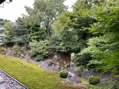 相国寺（相国承天禅寺）(京都府)