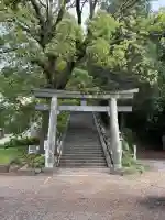 伊豆山神社の{uncategorized: "未分類", other: "その他", undefined: "問題あり", building: "その他建物", grave: "お墓", sacred_gate: "鳥居", guardian: "狛犬", statue: "像", buddha: "仏像", history: "歴史", nature: "自然", garden: "庭園", animal: "動物", pagoda: "塔", temizu: "手水舎", mountain_gate: "山門・神門", sanctuary: "本殿・本堂", subordinate: "末社・摂社", art: "芸術", scenery: "景色", jizo: "地蔵", ema: "絵馬", goshuin: "御朱印", omikuji: "おみくじ", items: "授与品その他", amulet: "お守り", goshuincho: "御朱印帳", eats: "食事", festival: "お祭り", votive_dance: "神楽", shichigosan: "七五三参", wedding: "結婚式", experience: "体験その他", initially: "初詣", around: "周辺", anti_infection: "感染症対策"}