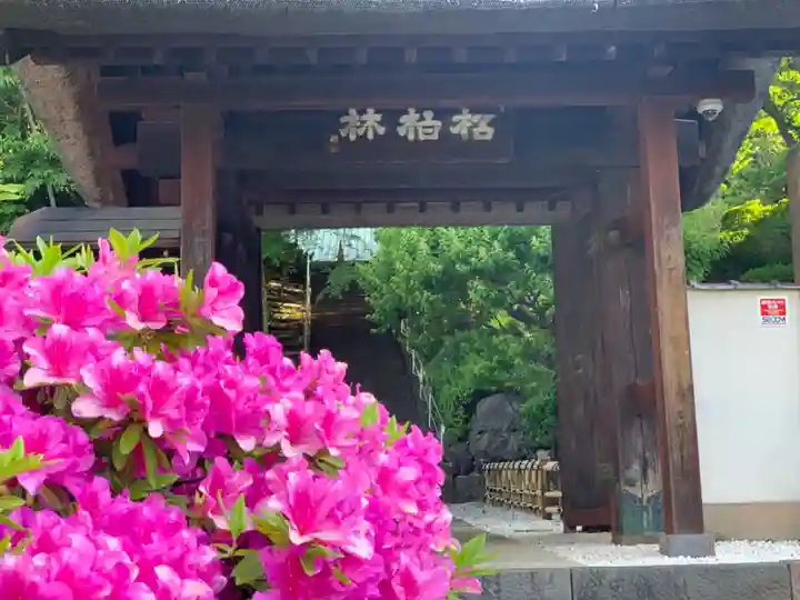 円福寺の山門・神門