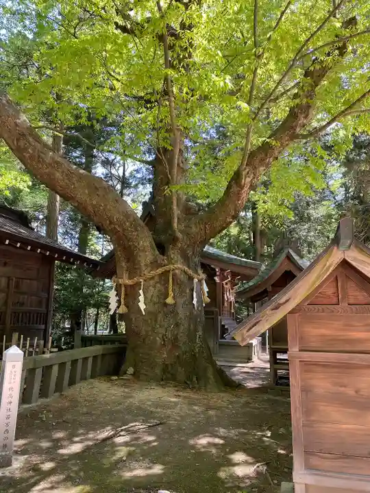 穂高神社本宮(長野県)
