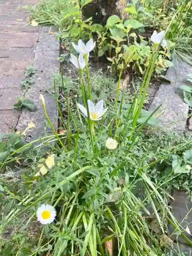 粟嶋堂宗徳寺の自然