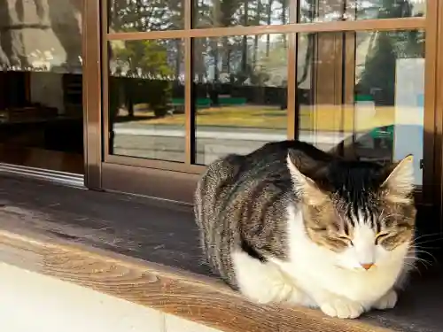 山梨縣護國神社の動物