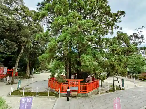 香椎宮の庭園