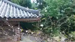 播州清水寺の庭園