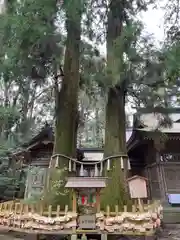 高千穂神社(宮崎県)