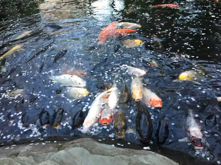 愛宕神社のその他建物