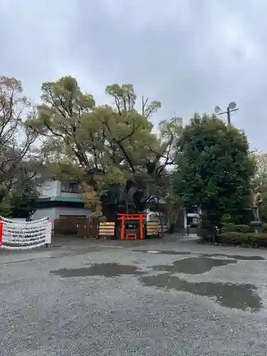 富知六所浅間神社(静岡県)