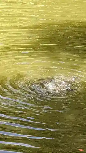 伊太祁曽神社(和歌山県)