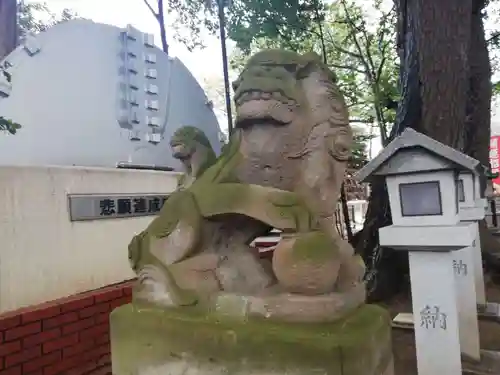 大宮・大原神社の狛犬