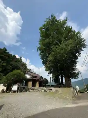 杖杉庵(徳島県)