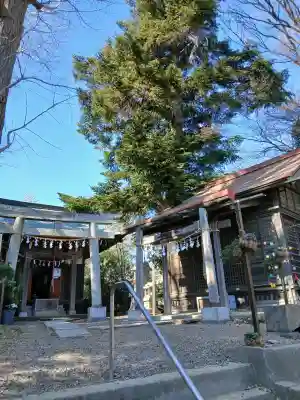 神道大教木曾御嶽川越大教会の{uncategorized: "未分類", other: "その他", undefined: "問題あり", building: "その他建物", grave: "お墓", sacred_gate: "鳥居", guardian: "狛犬", statue: "像", buddha: "仏像", history: "歴史", nature: "自然", garden: "庭園", animal: "動物", pagoda: "塔", temizu: "手水舎", mountain_gate: "山門・神門", sanctuary: "本殿・本堂", subordinate: "末社・摂社", art: "芸術", scenery: "景色", jizo: "地蔵", ema: "絵馬", goshuin: "御朱印", omikuji: "おみくじ", items: "授与品その他", amulet: "お守り", goshuincho: "御朱印帳", eats: "食事", festival: "お祭り", votive_dance: "神楽", shichigosan: "七五三参", wedding: "結婚式", experience: "体験その他", initially: "初詣", around: "周辺", anti_infection: "感染症対策"}
