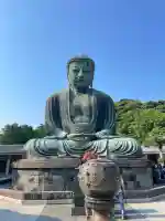 高徳院の{uncategorized: "未分類", other: "その他", undefined: "問題あり", building: "その他建物", grave: "お墓", sacred_gate: "鳥居", guardian: "狛犬", statue: "像", buddha: "仏像", history: "歴史", nature: "自然", garden: "庭園", animal: "動物", pagoda: "塔", temizu: "手水舎", mountain_gate: "山門・神門", sanctuary: "本殿・本堂", subordinate: "末社・摂社", art: "芸術", scenery: "景色", jizo: "地蔵", ema: "絵馬", goshuin: "御朱印", omikuji: "おみくじ", items: "授与品その他", amulet: "お守り", goshuincho: "御朱印帳", eats: "食事", festival: "お祭り", votive_dance: "神楽", shichigosan: "七五三参", wedding: "結婚式", experience: "体験その他", initially: "初詣", around: "周辺", anti_infection: "感染症対策"}