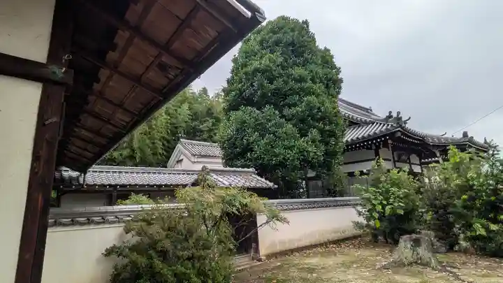 大智寺(京都府)