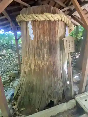 大神神社(奈良県)
