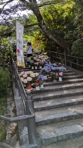 岡寺（龍蓋寺）(奈良県)