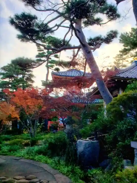 正覚院(東京都)