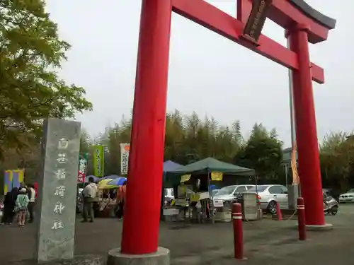 白笹稲荷神社の鳥居