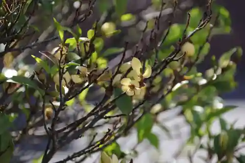 阿邪訶根神社の自然