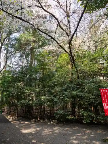 大宮八幡宮の{uncategorized: "未分類", other: "その他", undefined: "問題あり", building: "その他建物", grave: "お墓", sacred_gate: "鳥居", guardian: "狛犬", statue: "像", buddha: "仏像", history: "歴史", nature: "自然", garden: "庭園", animal: "動物", pagoda: "塔", temizu: "手水舎", mountain_gate: "山門・神門", sanctuary: "本殿・本堂", subordinate: "末社・摂社", art: "芸術", scenery: "景色", jizo: "地蔵", ema: "絵馬", goshuin: "御朱印", omikuji: "おみくじ", items: "授与品その他", amulet: "お守り", goshuincho: "御朱印帳", eats: "食事", festival: "お祭り", votive_dance: "神楽", shichigosan: "七五三参", wedding: "結婚式", experience: "体験その他", initially: "初詣", around: "周辺", anti_infection: "感染症対策"}