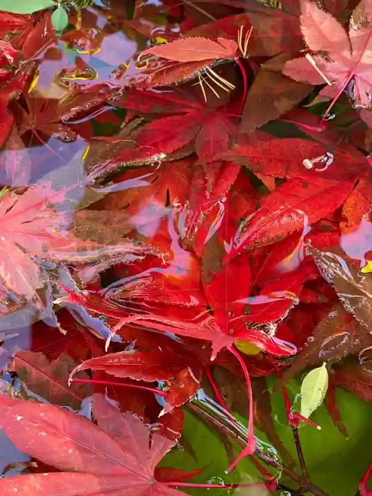 横浜御嶽神社の手水舎