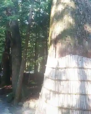 伊勢神宮内宮（皇大神宮）(三重県)